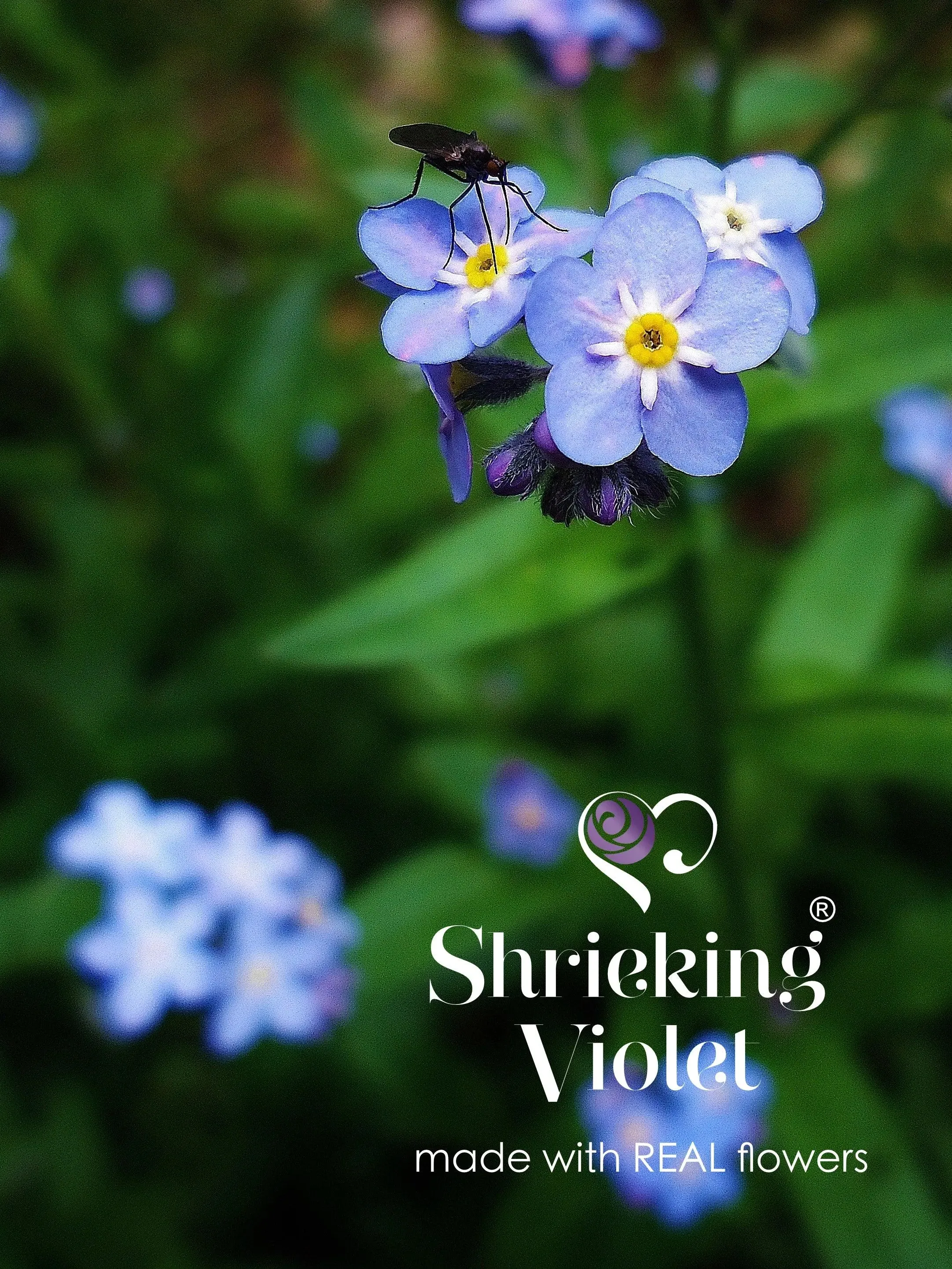Cat necklace with real flowers by Shrieking Violet. Perfect gift for cat lover.