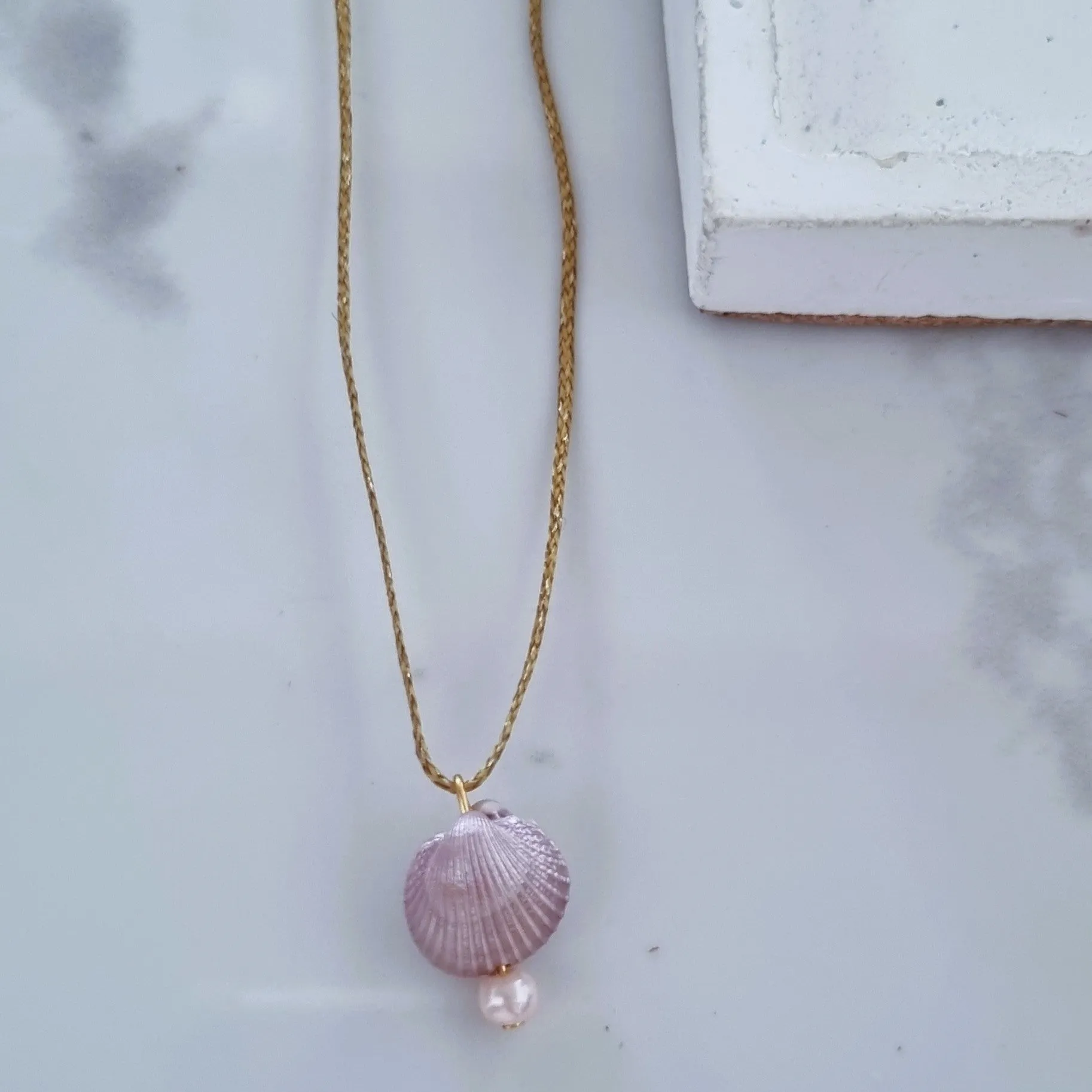 Tiny seashells charms